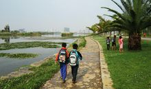 下降的无奈_500字