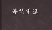 等待重逢_1500字