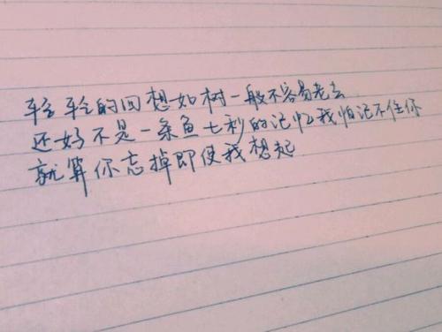[每日小型记录]月测试第二天_200字