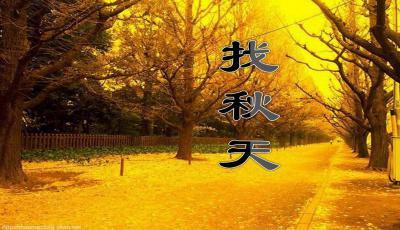 寻找秋天_250字