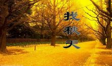 寻找秋天_250字