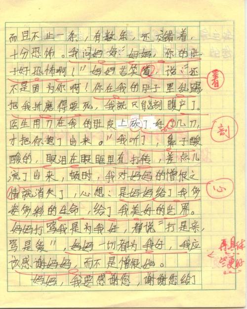 _900字