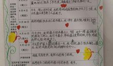 当一回“大夫”_550字