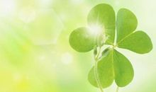 初三诗歌：四叶草_300字