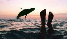 拥抱天空的海_600字