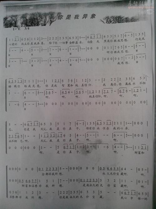 第三诗令：冬天说_250字