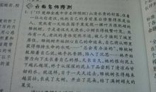 初三诗歌：夜说_100字