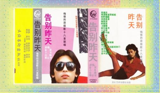 [每日小型记录]泪流满面的泪水_300字