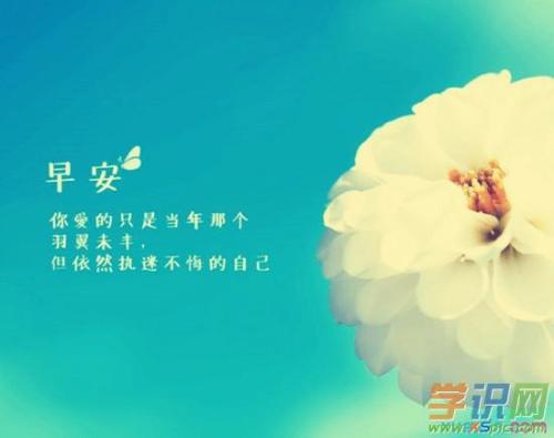 我们的混乱太无知_550字