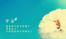 我们的困惑，就是太无知_550字