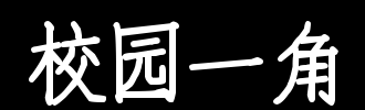 校园一角_200字