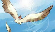 飞翔的读书人生_750字