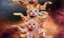 你的脸，我的阳光_700字