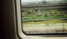 窗外的风景_700字