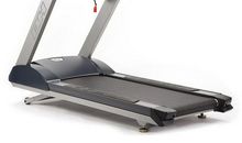 [2015新年心愿]自由_700字