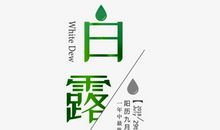 人也有节气_1000字