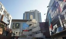 我的另一片新天地_400字