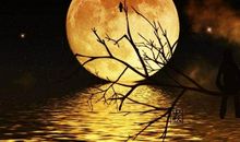 [2015新年心愿]留·离_200字