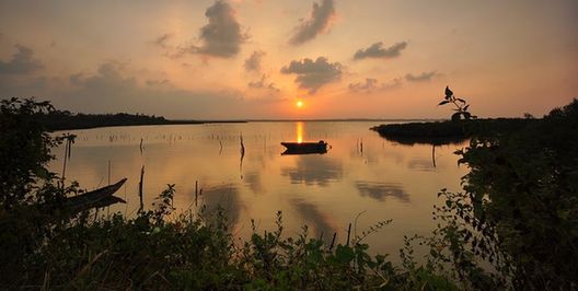 Country de Dusk _1200字