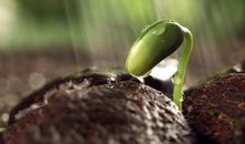 [2015新年心愿]渴望新的阳光_600字