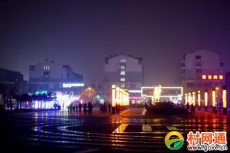 家乡的夜晚_1000字
