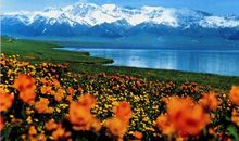 风景如画的果子沟_750字