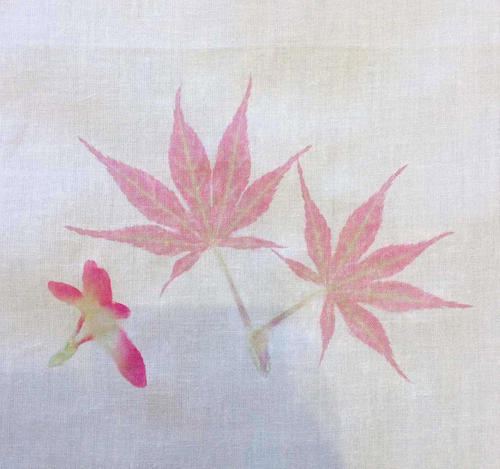 在草地上的忏悔_750字