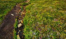 高山仰止 始于细流_750字