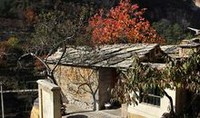 梦回石壕村_1000字