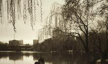 旧时景色惹人悲_650字