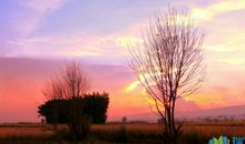 那个深秋的傍晚_600字