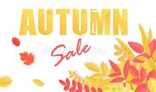 秋天因有秋风而精彩_450字