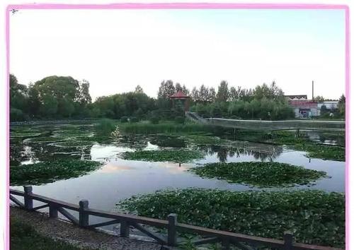 地球上帝_700字