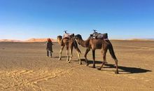 沙漠中的雪花_1200字