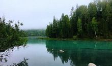 水中的苍凉_1000字