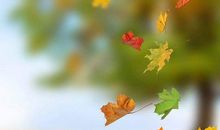 落叶已尽，秋风已过_750字