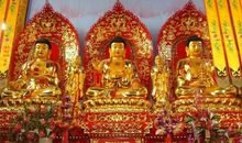 佛为谁悲_1200字