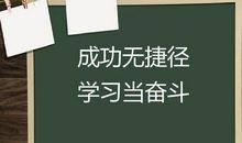 认真+拼搏=成功吗_350字