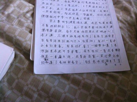 LightShewriting _1000字