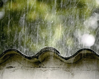 夏季多雨心音_1200字