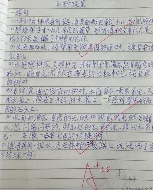 荷花湖在家乡_300字