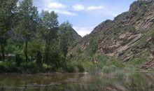 我家乡美丽的白河_500字