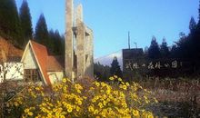 避暑圣地——武陵山森林公园_450字