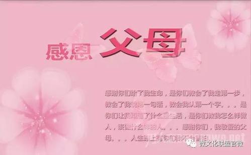 父母的爱_400字