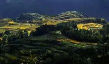 翻过那座山_800字