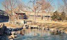 残缺的美丽_650字