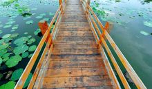 雨中的友谊_150字