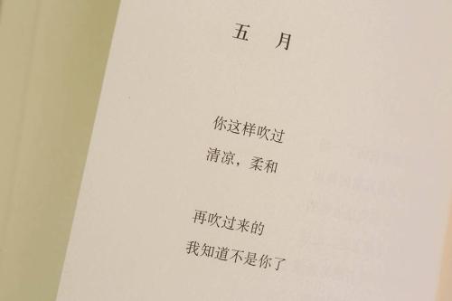 我想看到你的笑声_900字