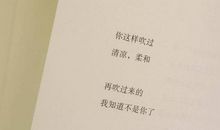 我想看到你的笑_900字