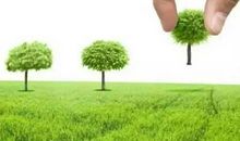 创建森林城市，弘扬生态文明_800字